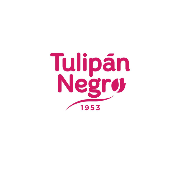 Tulipán Negro