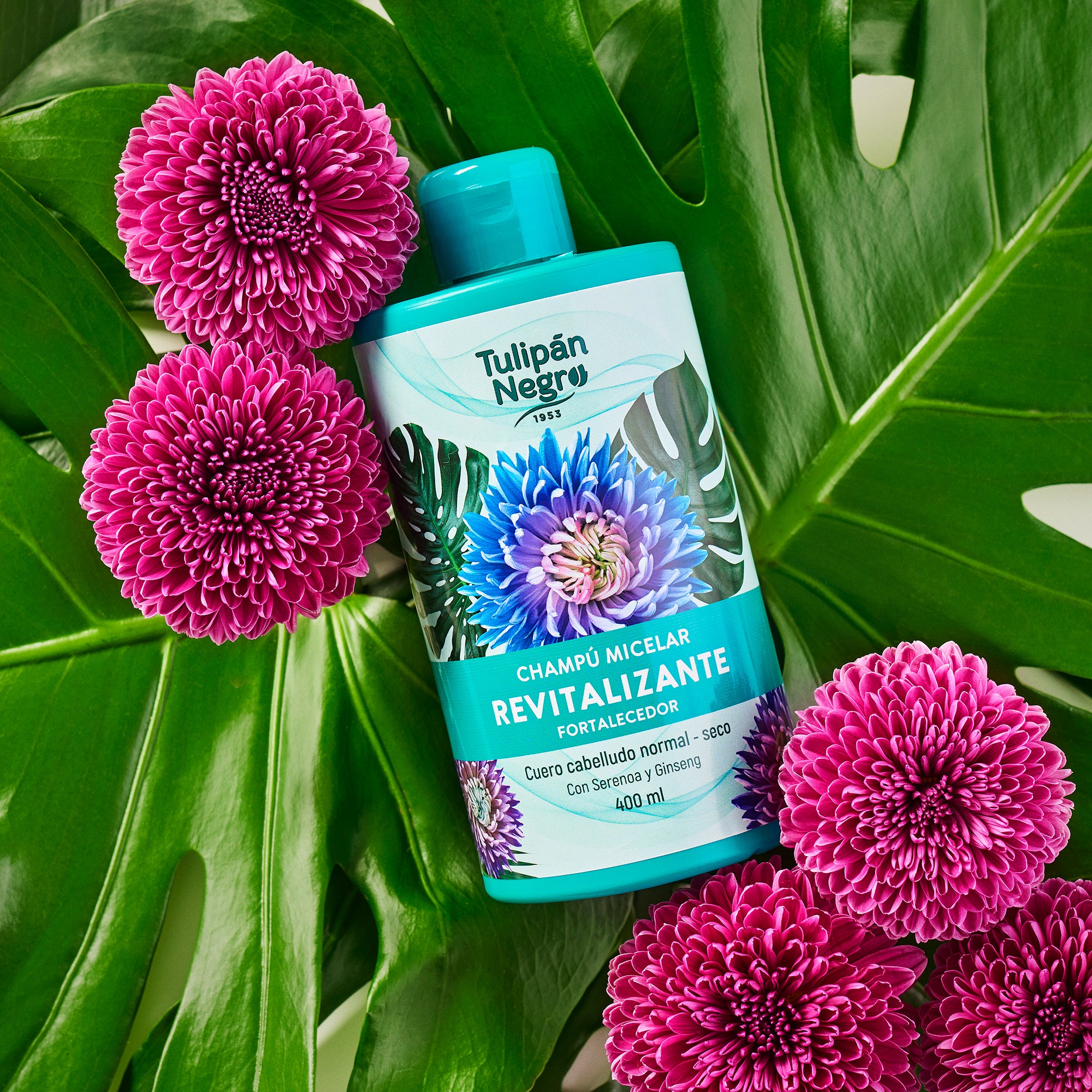 Champú Micelar Revitalizante & Fortalecedor Tulipán Negro